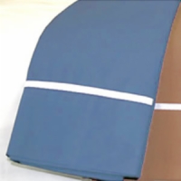 Pillow Case 600 TC