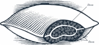 Cut Away View