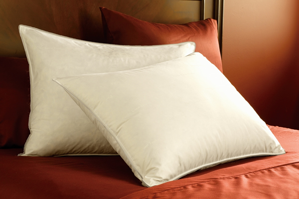 Pacific Coast® Eurofeather™ Pillow