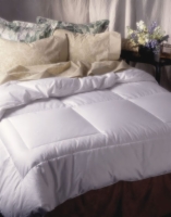 Two Star&reg; Down Comforter