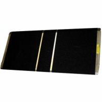 Low Bariatric Threshold Ramp