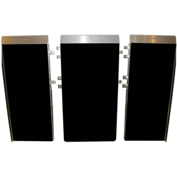 Bariatric Panel Ramp (5')