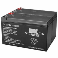 Stair Lift Battery Set