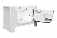 Large Wheelchair Access Walk-In Tub
