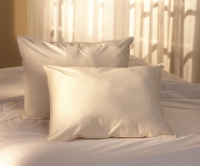 Natural Living&reg; Extra Loft Pillow